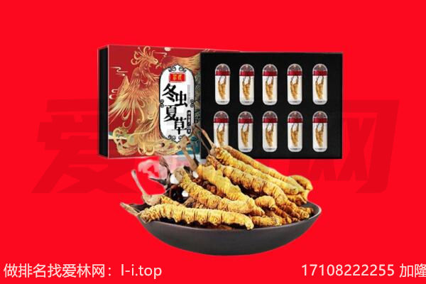 临沧回收虫草.jpg